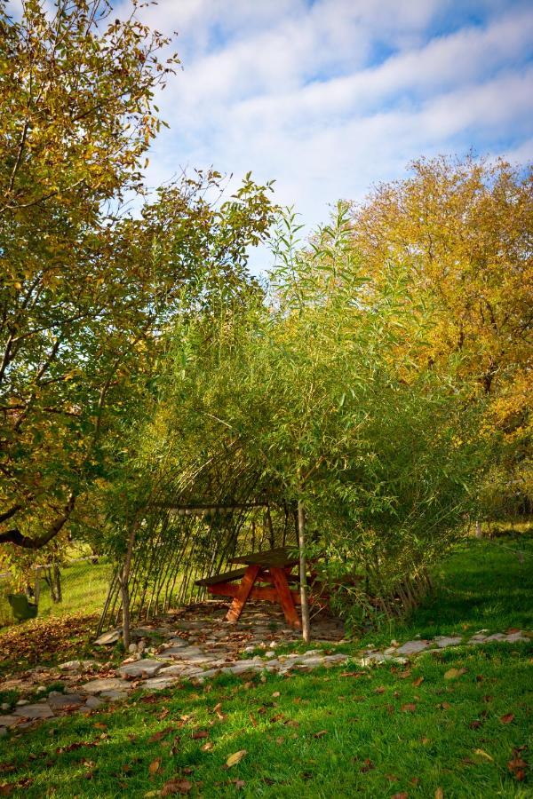 Măgura Casa Wezly 빌라 외부 사진