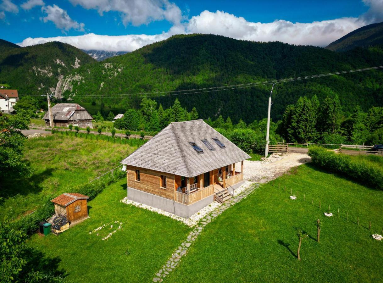 Măgura Casa Wezly 빌라 외부 사진